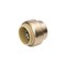 Bk Products B&K Proline Push to Connect 3/4 in. PTC Brass Cap 6633-004 - alternate 1